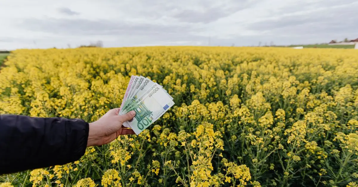 État Économique et Rachat de Crédits : Guide Complet